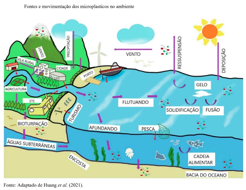 Estudos mostram impactos dos microplásticos na vida marinha - Sobratema
